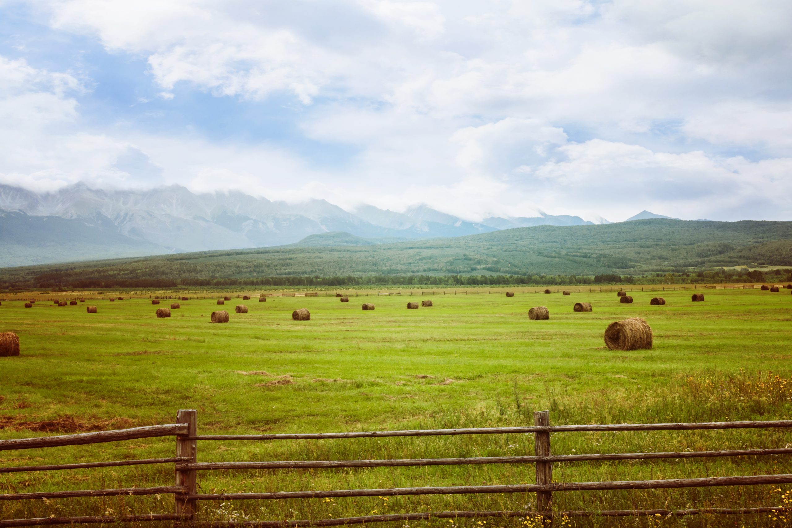 mountain farm property